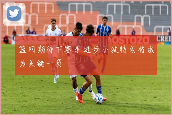 篮网期待下赛季进步小波特或将成为关键一员